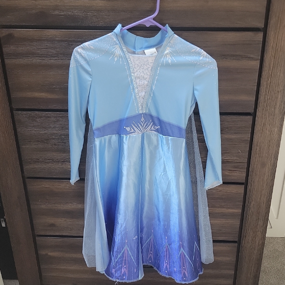 Disney Frozen Light Blue and Purple Costume